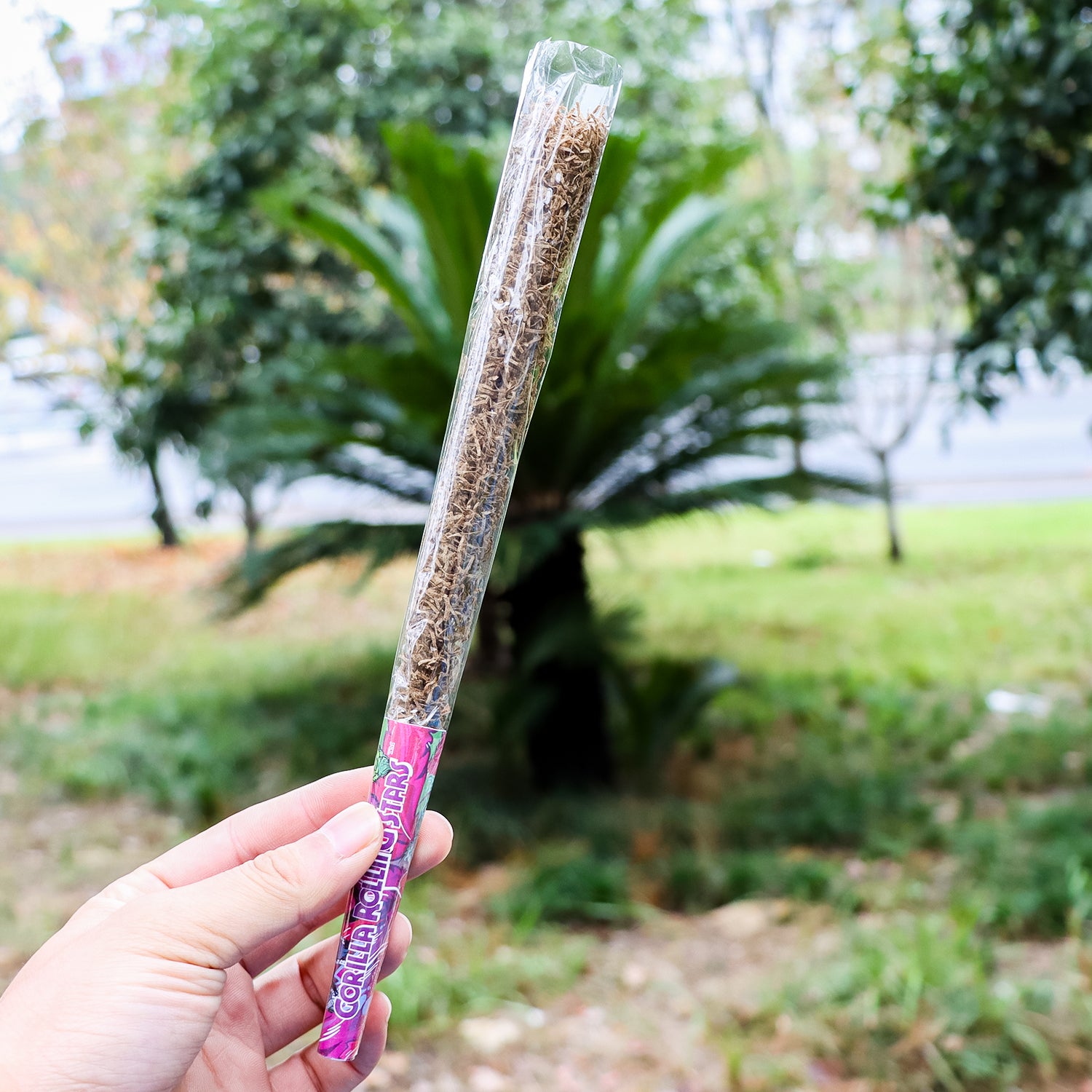 Gorilla Rolling Stars Super Size Transparent Pre Rolled Cones, Natural Rolling Cones, Slow Burning Pre Rolled Rolling Paper, 1 PCS
